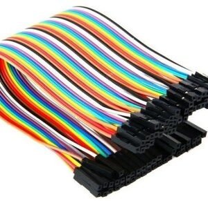 ctl0029