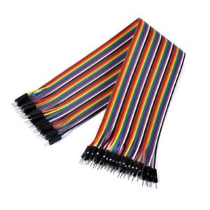ctl0051